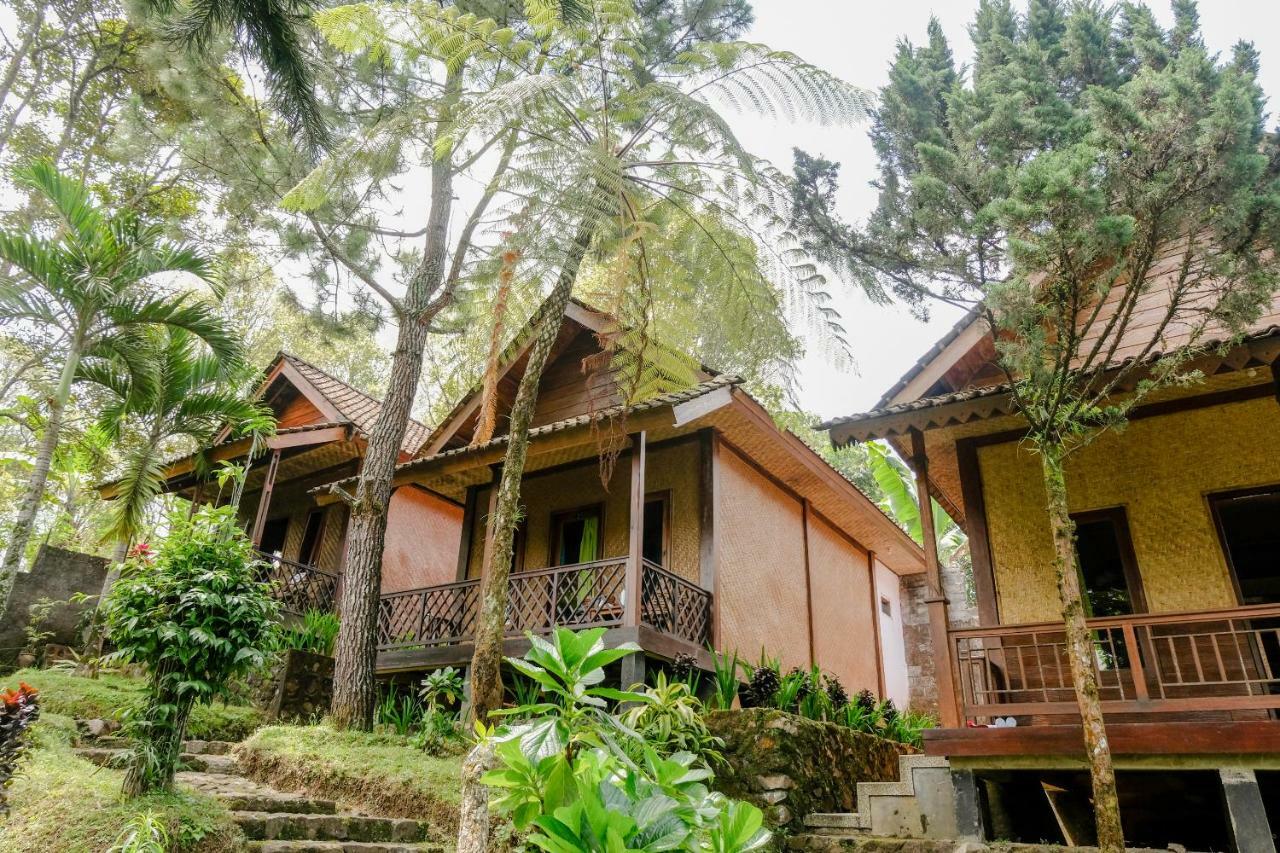 Licin Oyo 1415 Ijen Residence מראה חיצוני תמונה