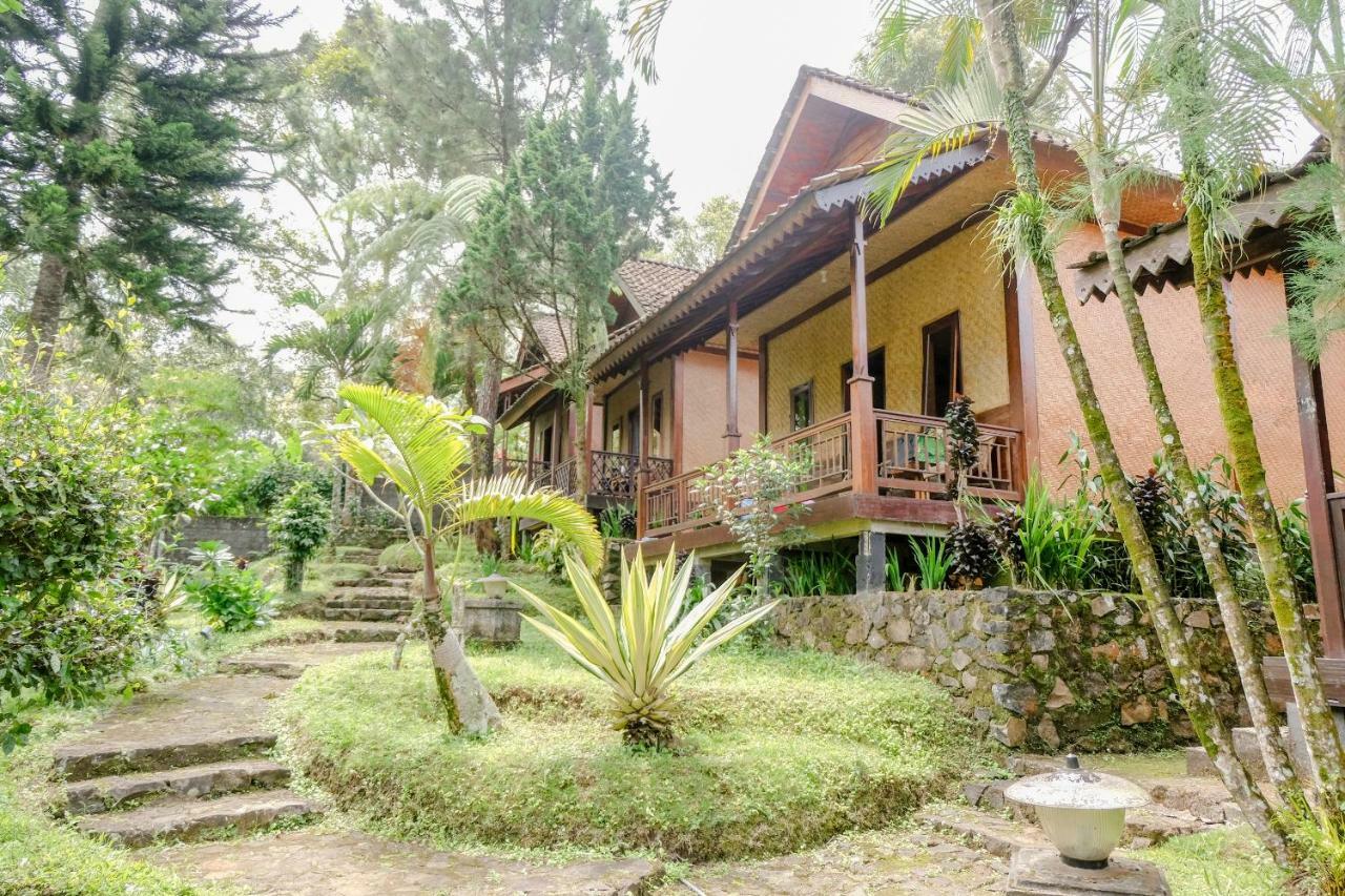 Licin Oyo 1415 Ijen Residence מראה חיצוני תמונה